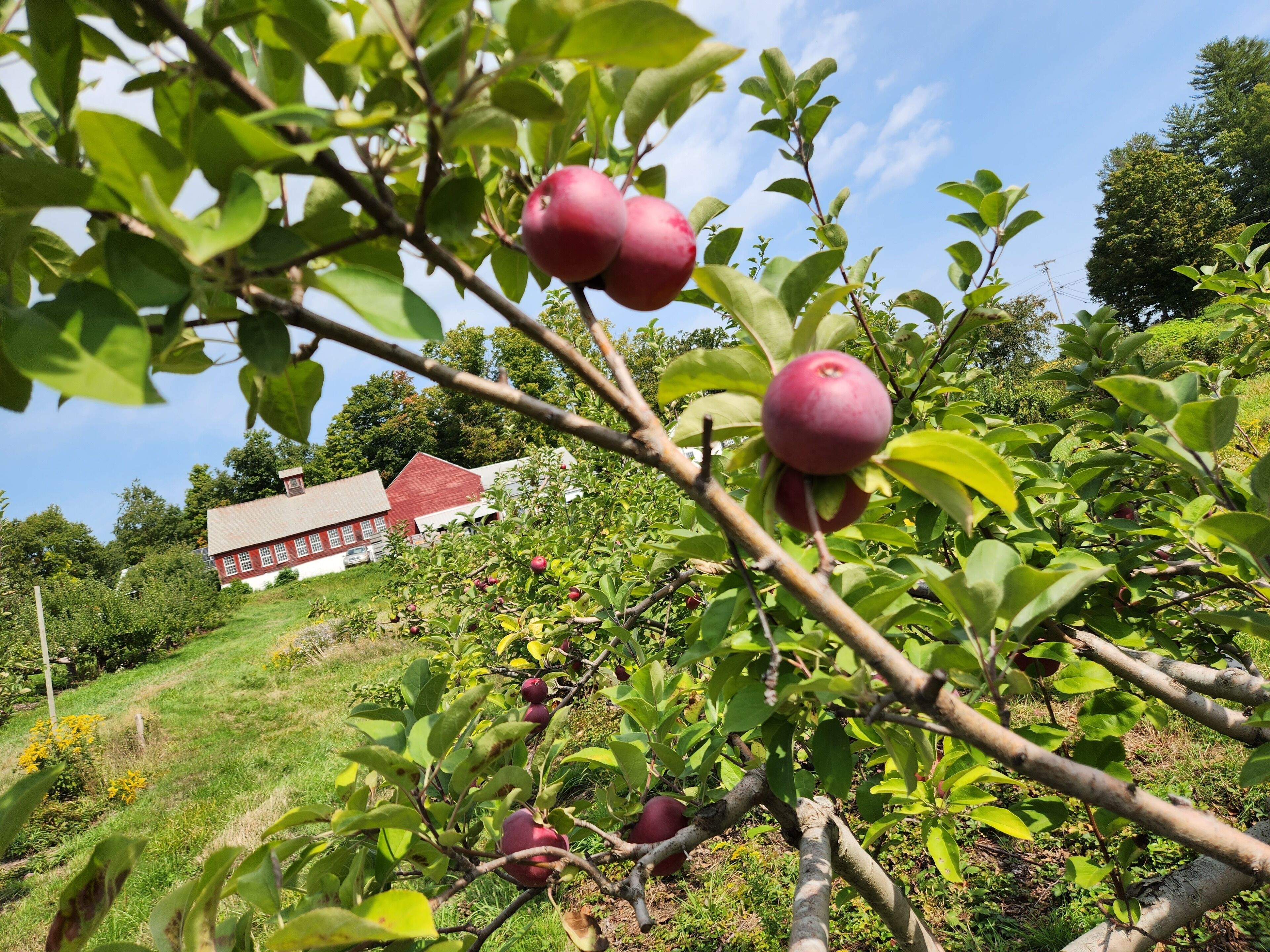 Children's activities