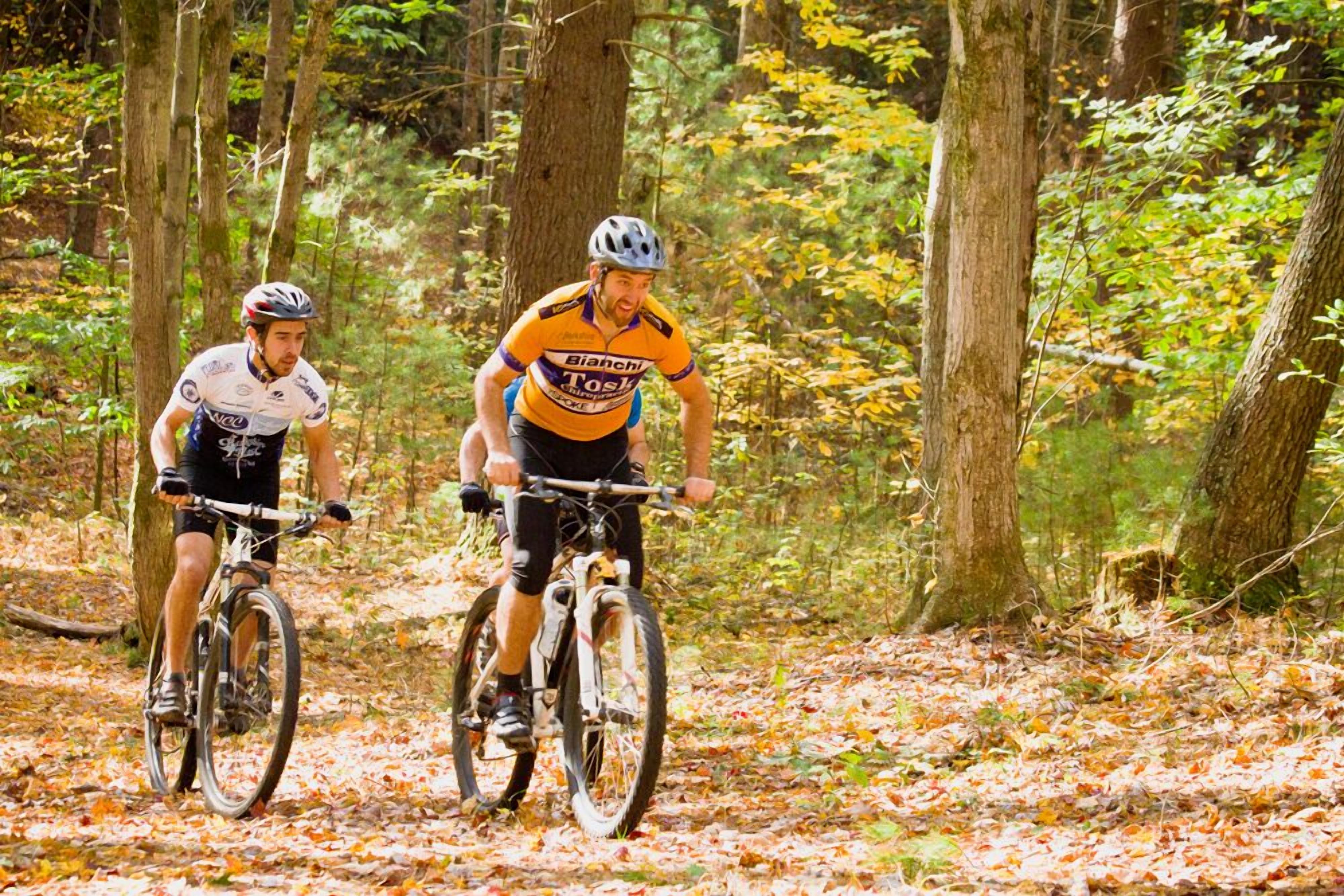 Two cyclists riding on a forest trail.