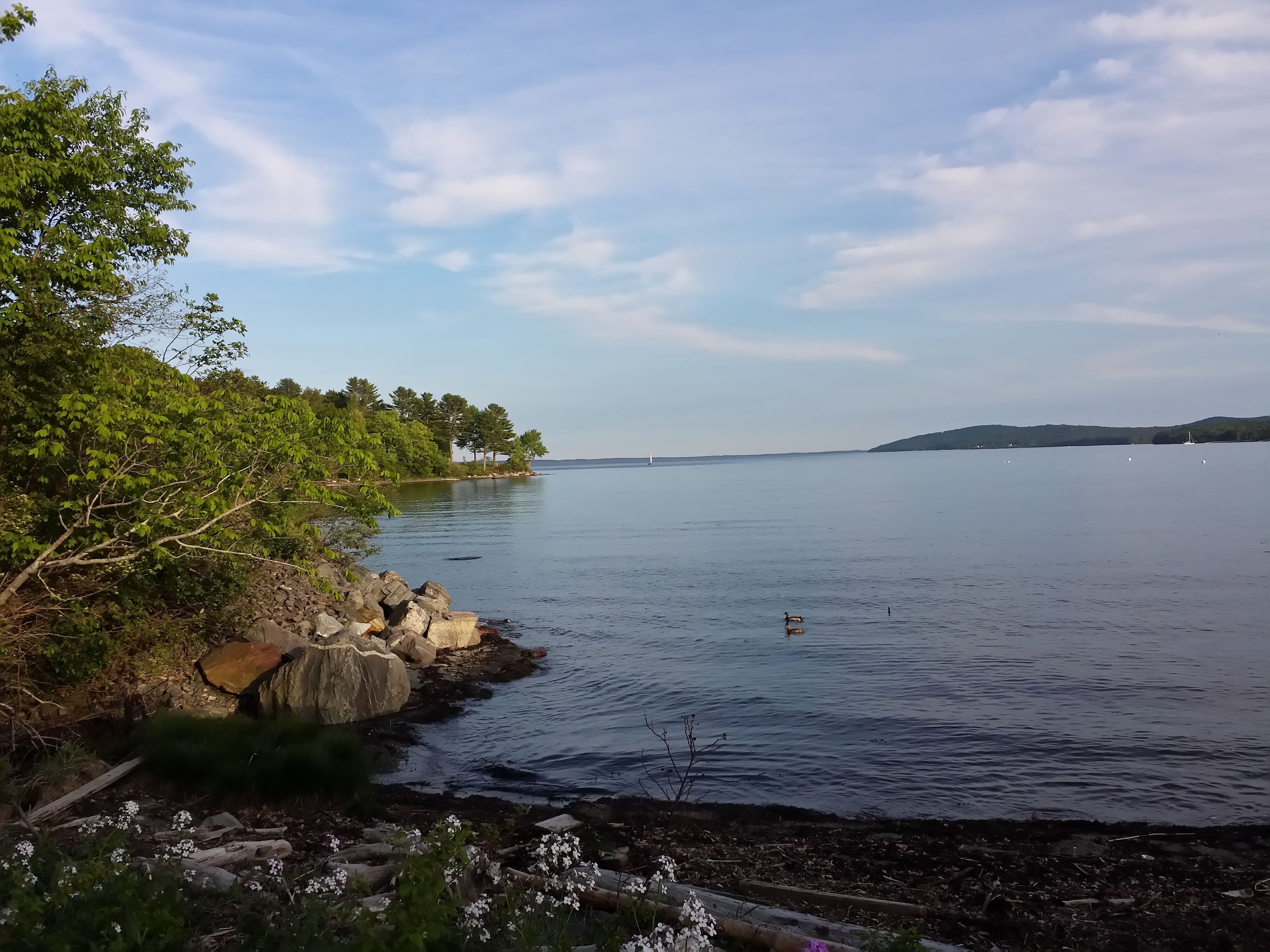 A calm lake with a rocky shoreline and trees.