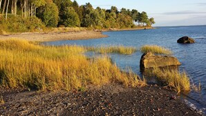 A natural landscape with a rocky shoreline, grassy areas, and a body of water. - Belfast Harbor Inn (Belfast)