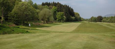 A golf course with a flagstick, surrounded by trees and hills.