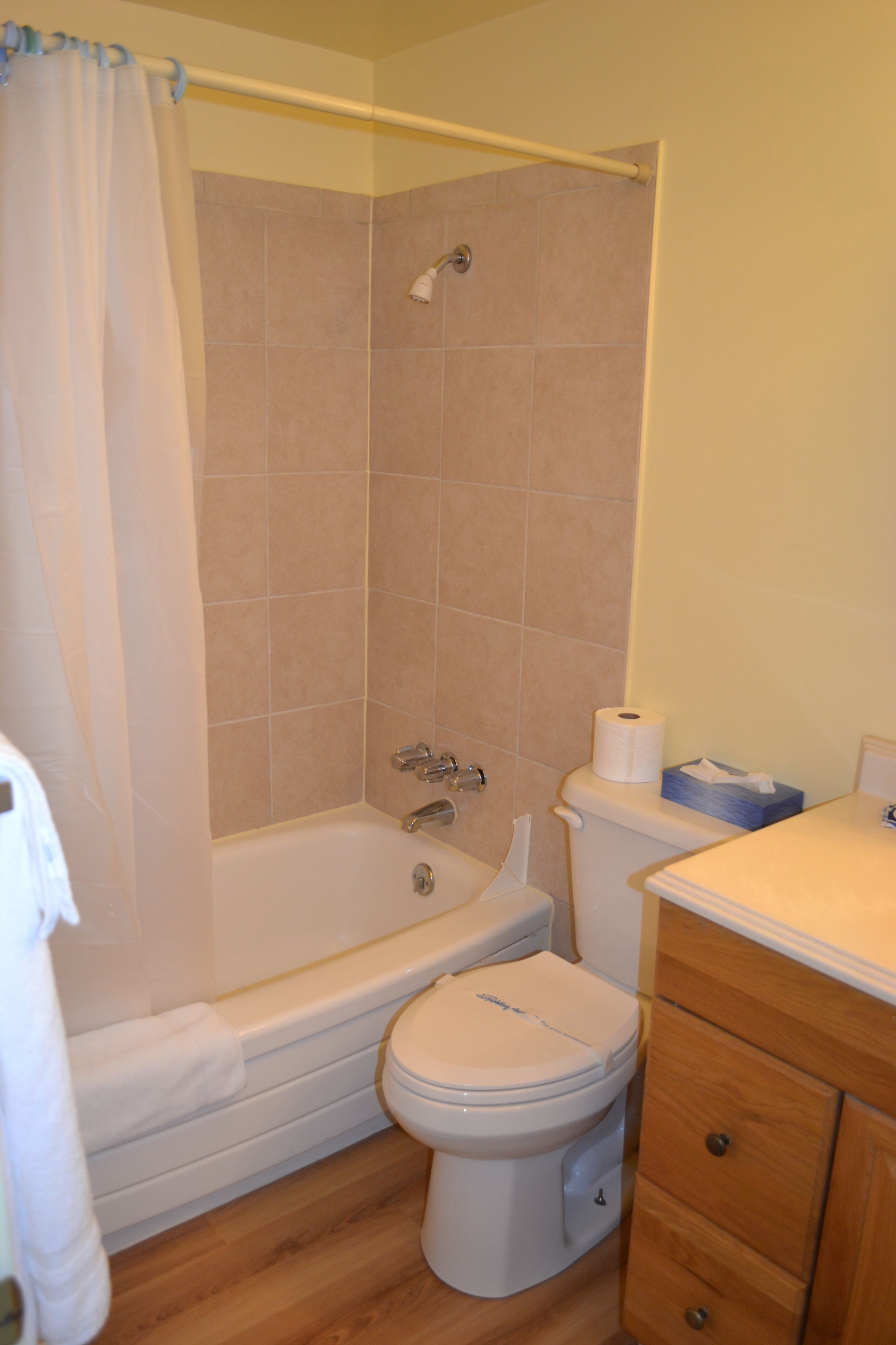 standard suite, 1 bedroom, partial ocean view | bathroom | combined shower/bathtub, hair dryer, towels