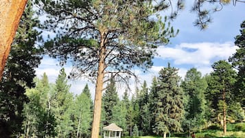 Suite (The Cornerstone) | 1 bedroom, premium bedding, down comforters, individually decorated