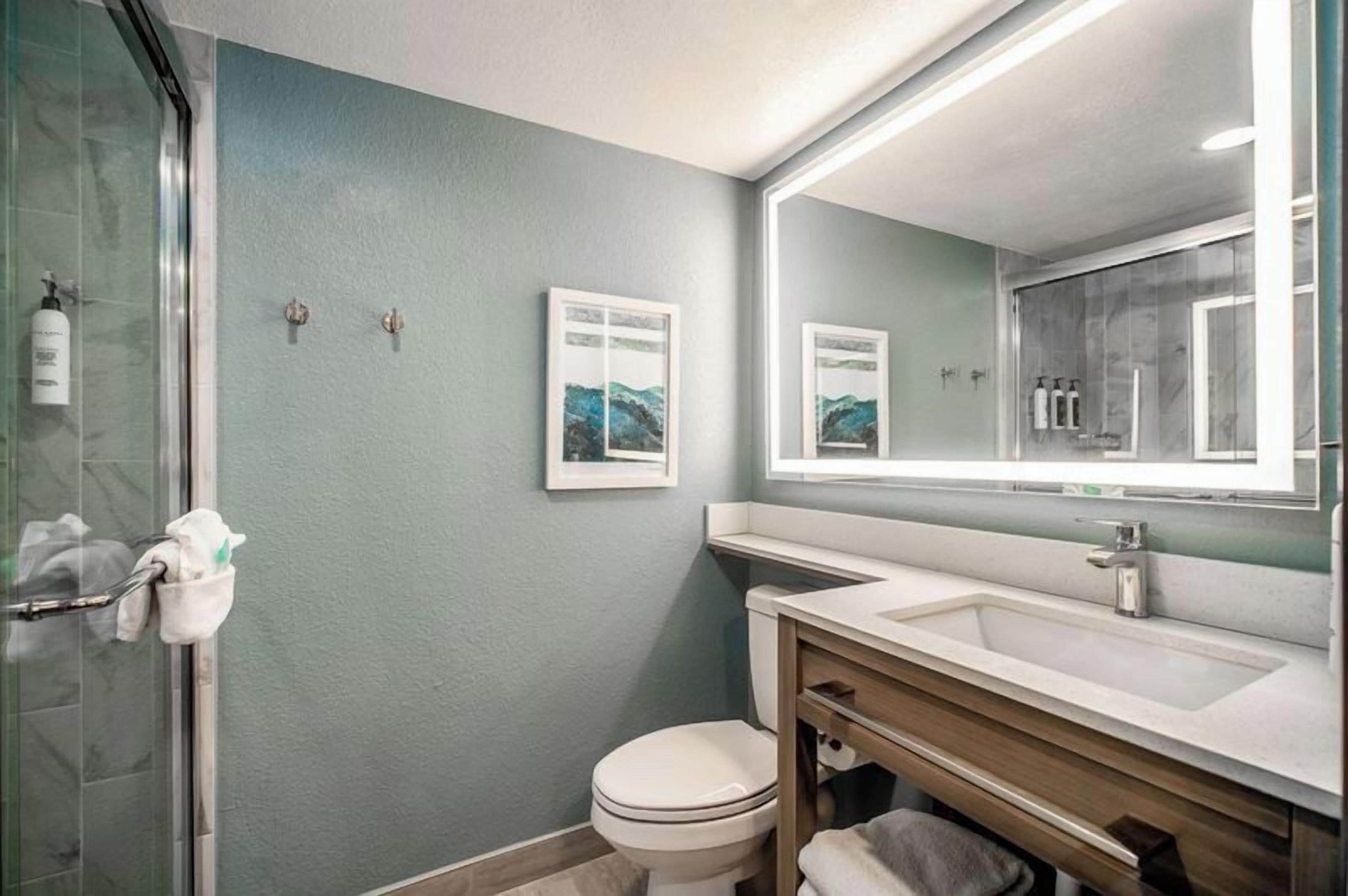 A bathroom with a glass shower enclosure, a toilet, a sink, and a mirror.