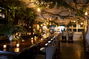 Zona de bar con una barra larga, plantas en macetas y velas.