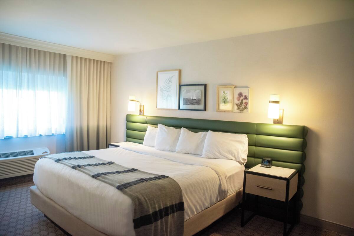 A hotel room with a large bed, a bedside table with a lamp, and a window with curtains.