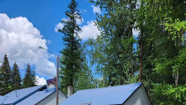 A row of cabins with blue roofs and white walls, surrounded by lush greenery and tall trees.