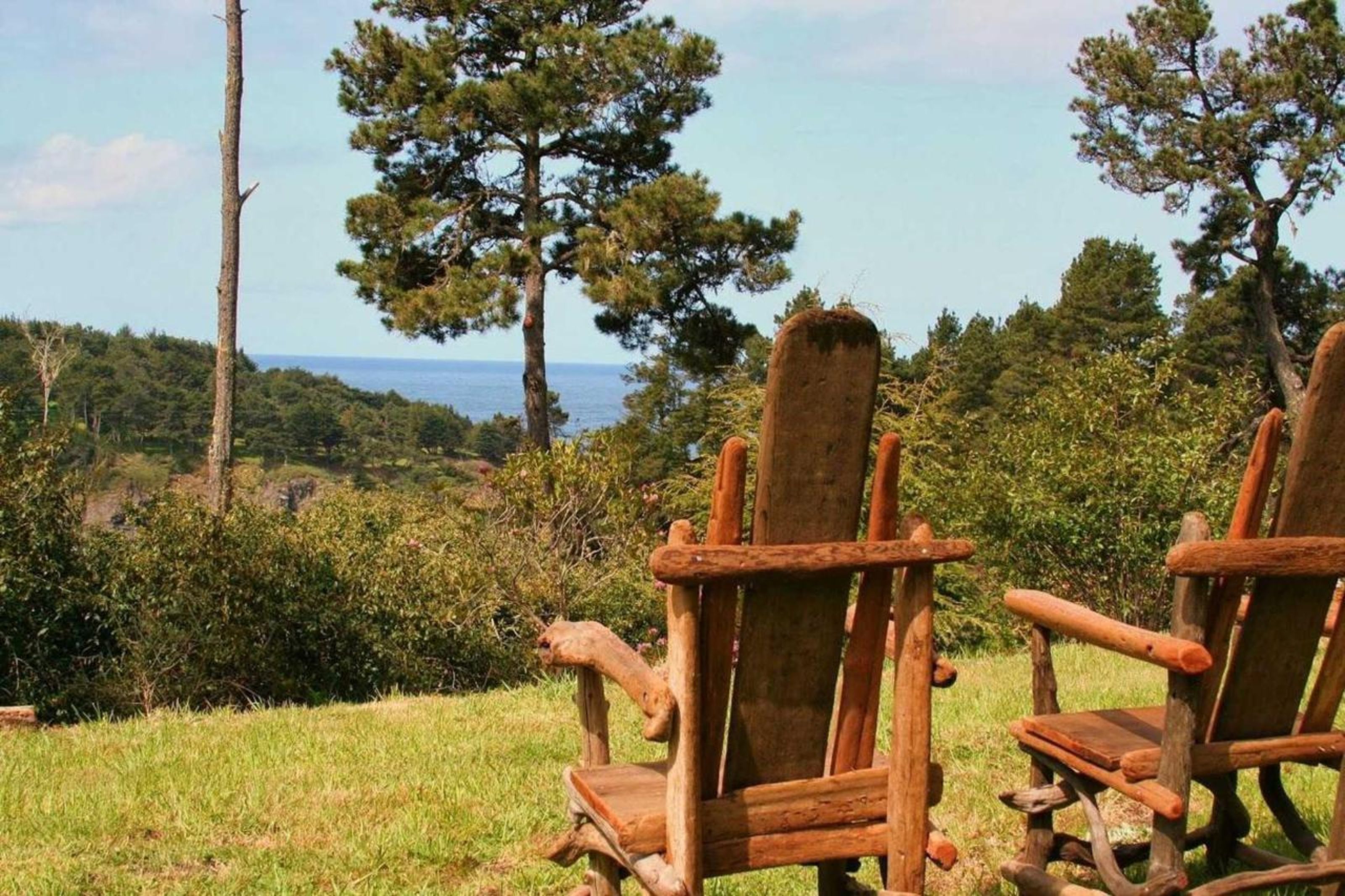 Two rustic wooden chairs facing a scenic view of a forest and a body of water.