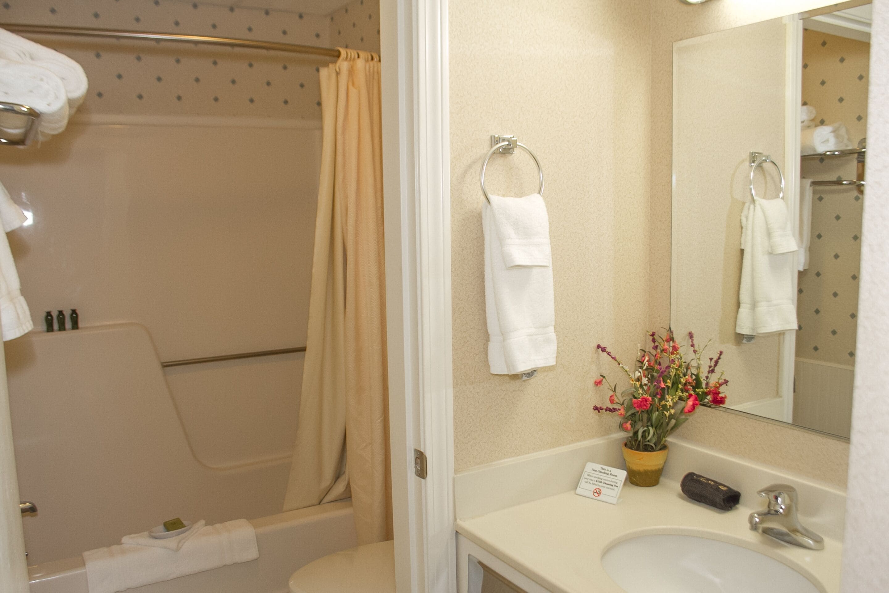 combined shower/bathtub, hair dryer, towels