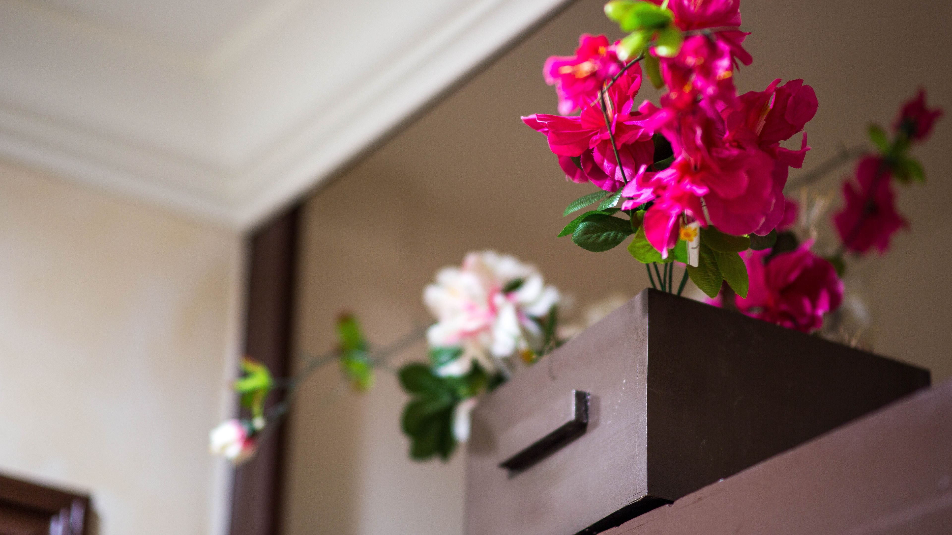 Foto - Nite Inn at Universal City - Walking Distance to Universal Studios Hollywood