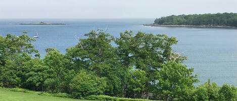 Vista desde la propiedad