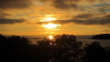 A sunset over a body of water with silhouettes of trees and a distant landmass.