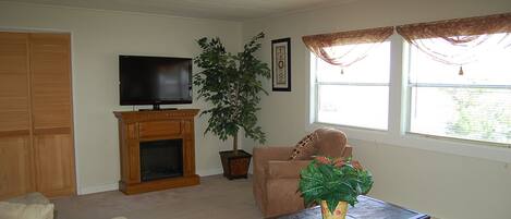 A living room with a television, a fireplace, a potted plant, a sofa, and a window with curtains.