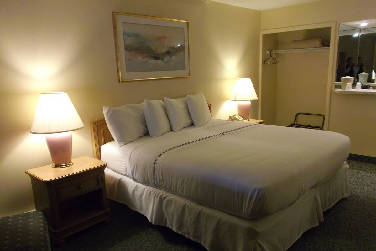 Een hotelkamer met een groot bed, twee bedlampen, een schilderij aan de muur en een spiegel boven het bed.