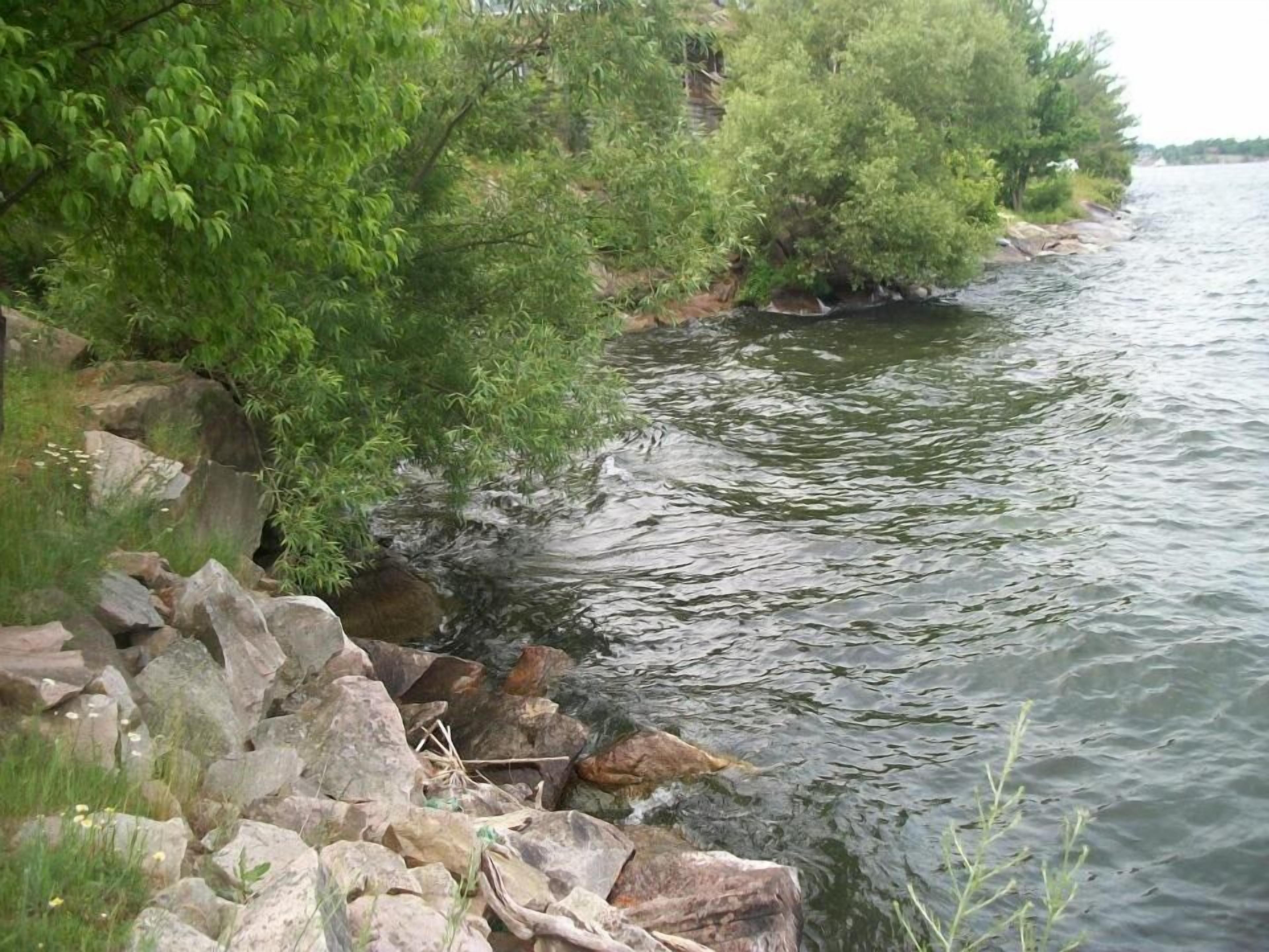 A riverbank with rocks and greenery.