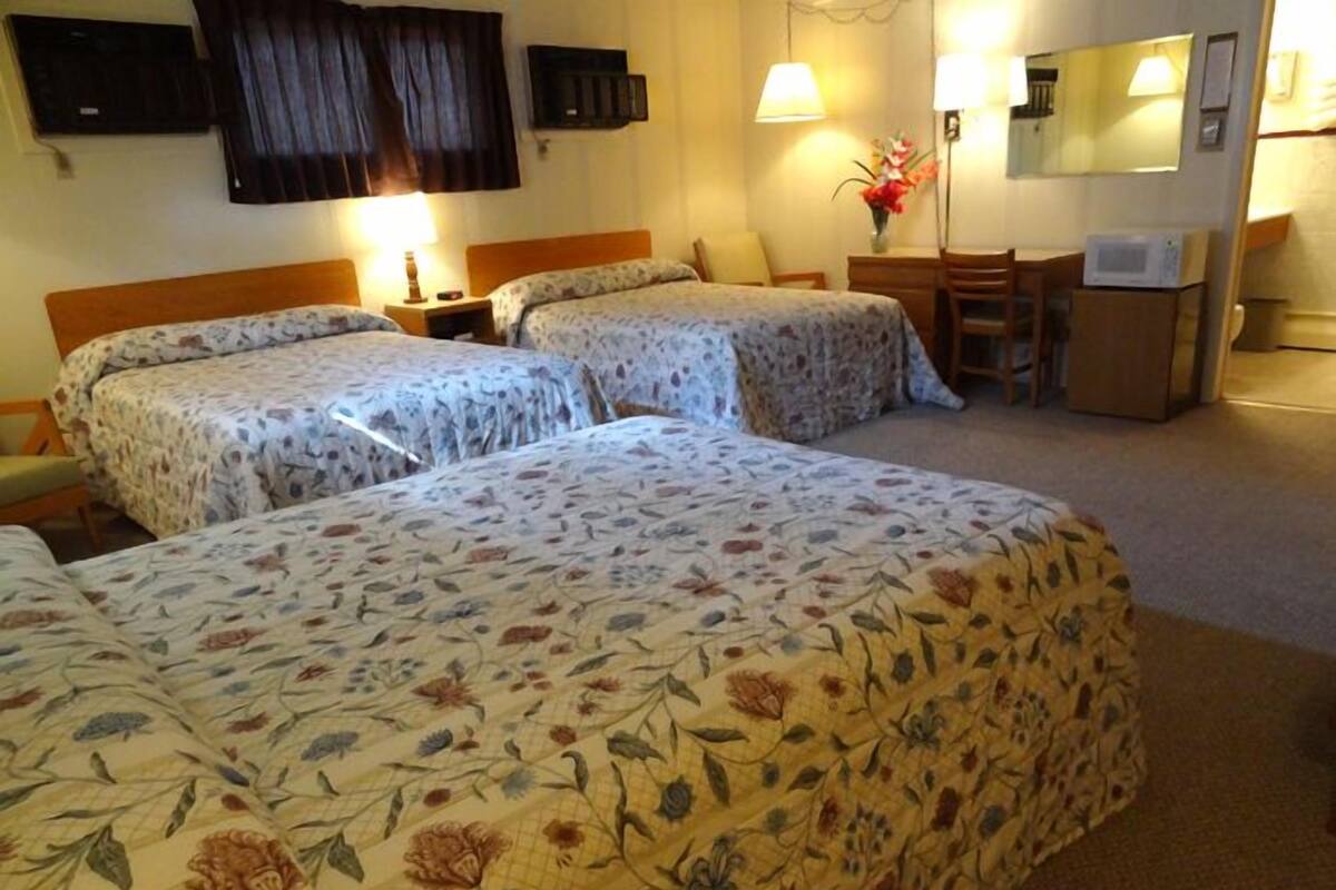 Quarto standard, várias camas | Escrivaninha, ferros/tábuas de passar roupa, berços grátis