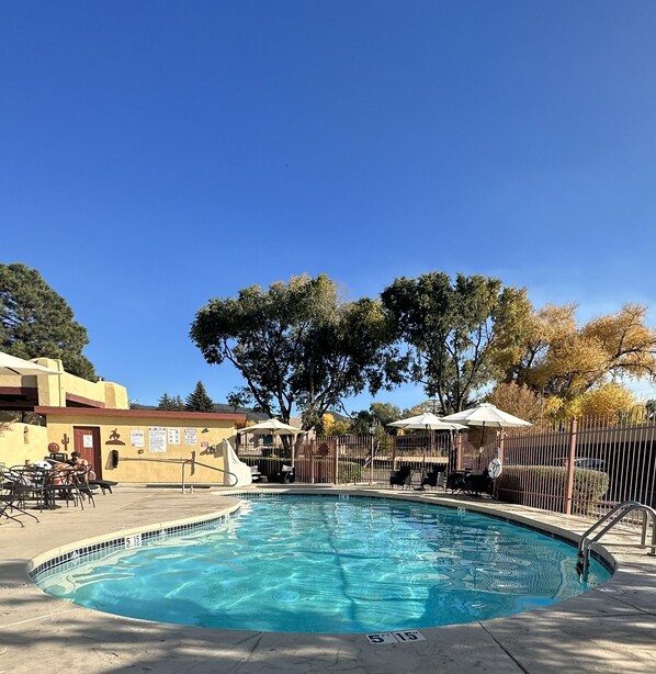 Seasonal outdoor pool, pool loungers