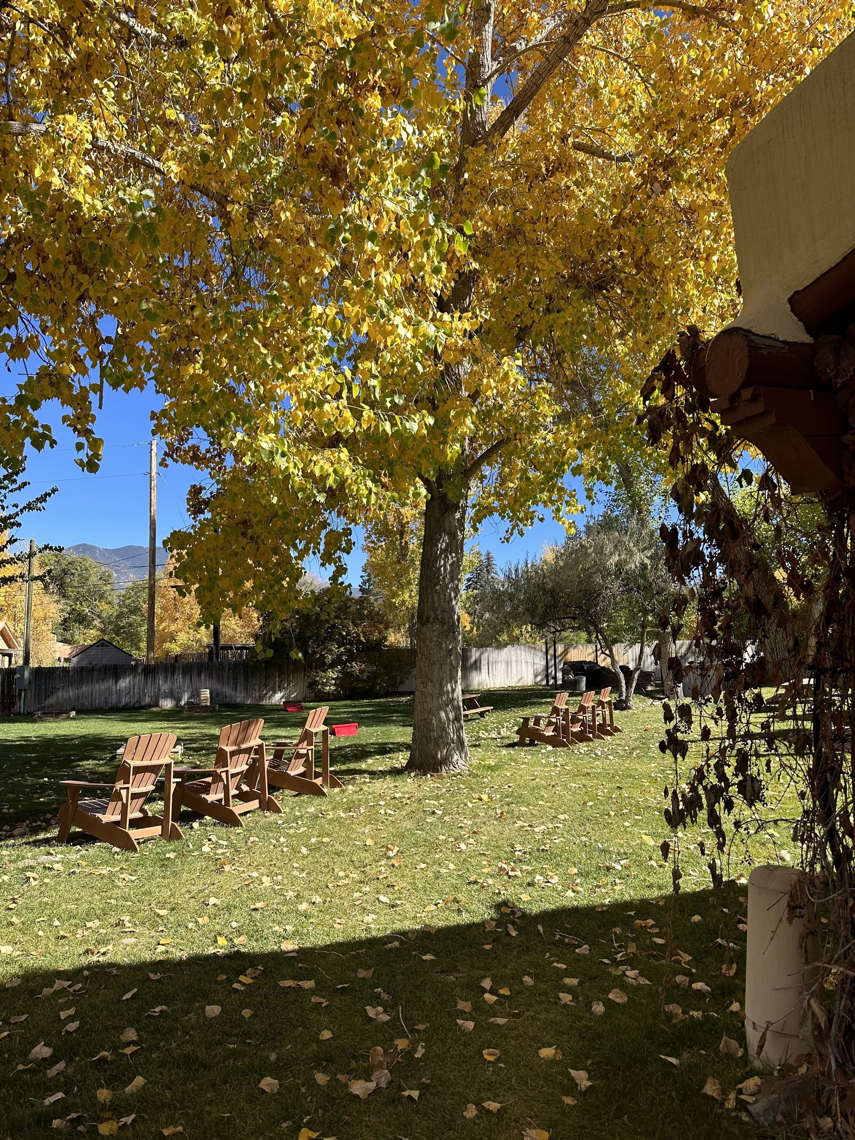 A backyard with a large tree, wooden chairs, and a concrete structure.