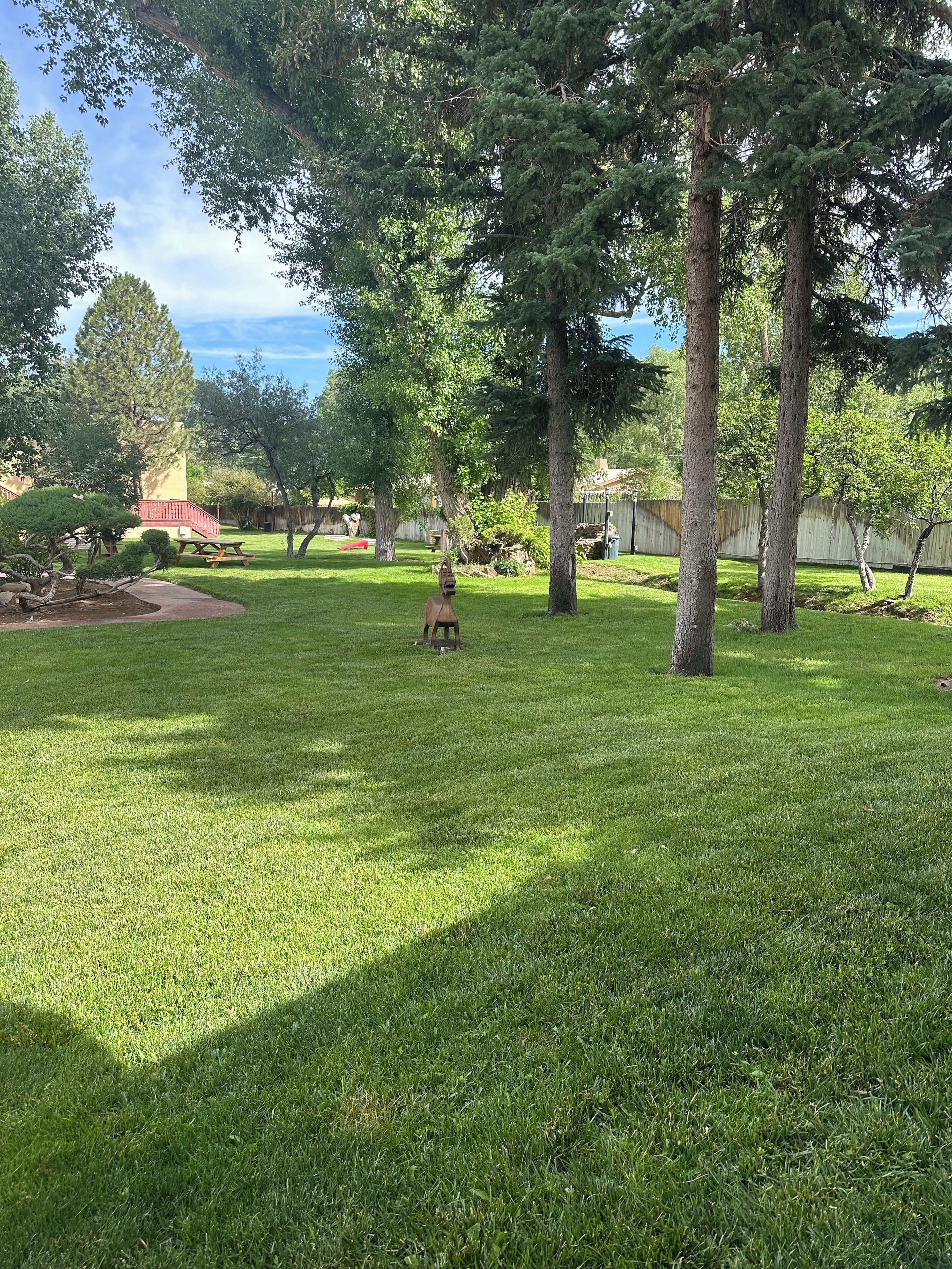 A well-maintained backyard with a picnic table, a small statue, and a variety of trees.