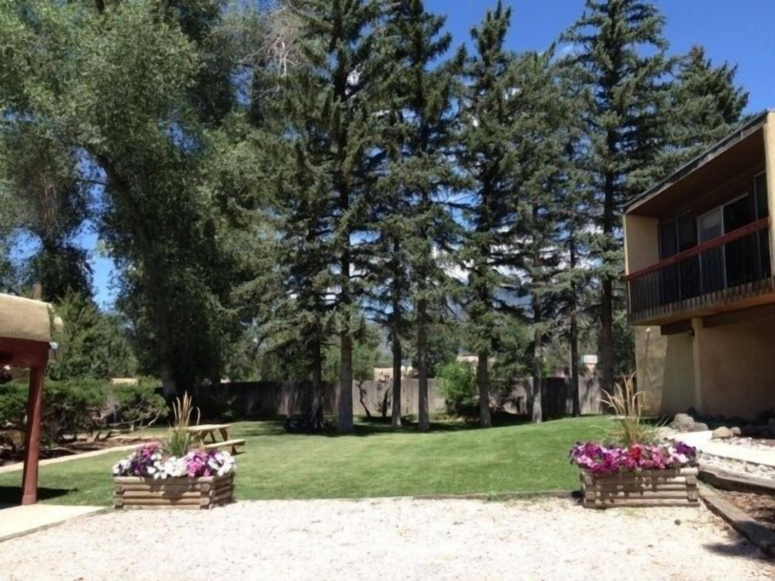 A landscaped outdoor area with a lawn, wooden planters with flowers, and tall trees.