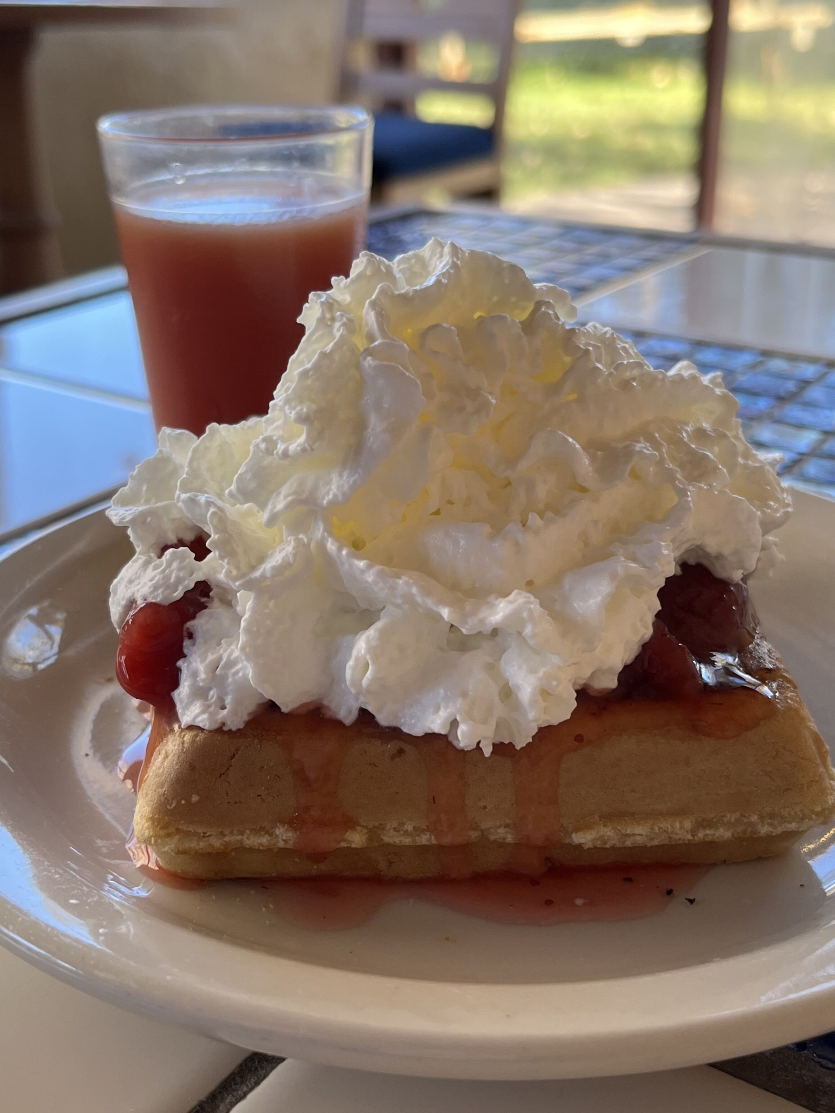 A hot dog with toppings on a plate, a glass of beverage, and a table with a view.