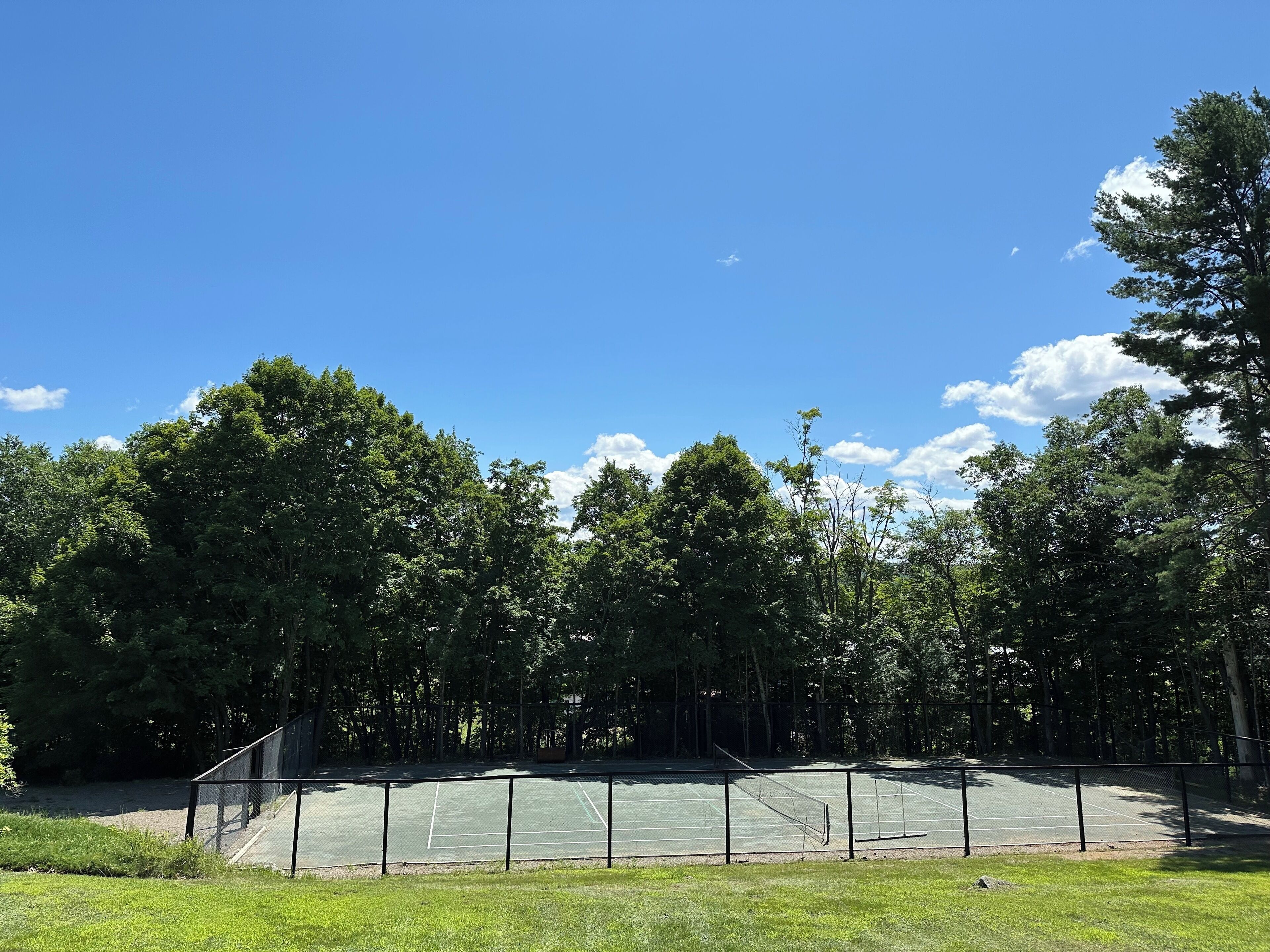 Ein Tennisplatz im Freien, umgeben von Bäumen.