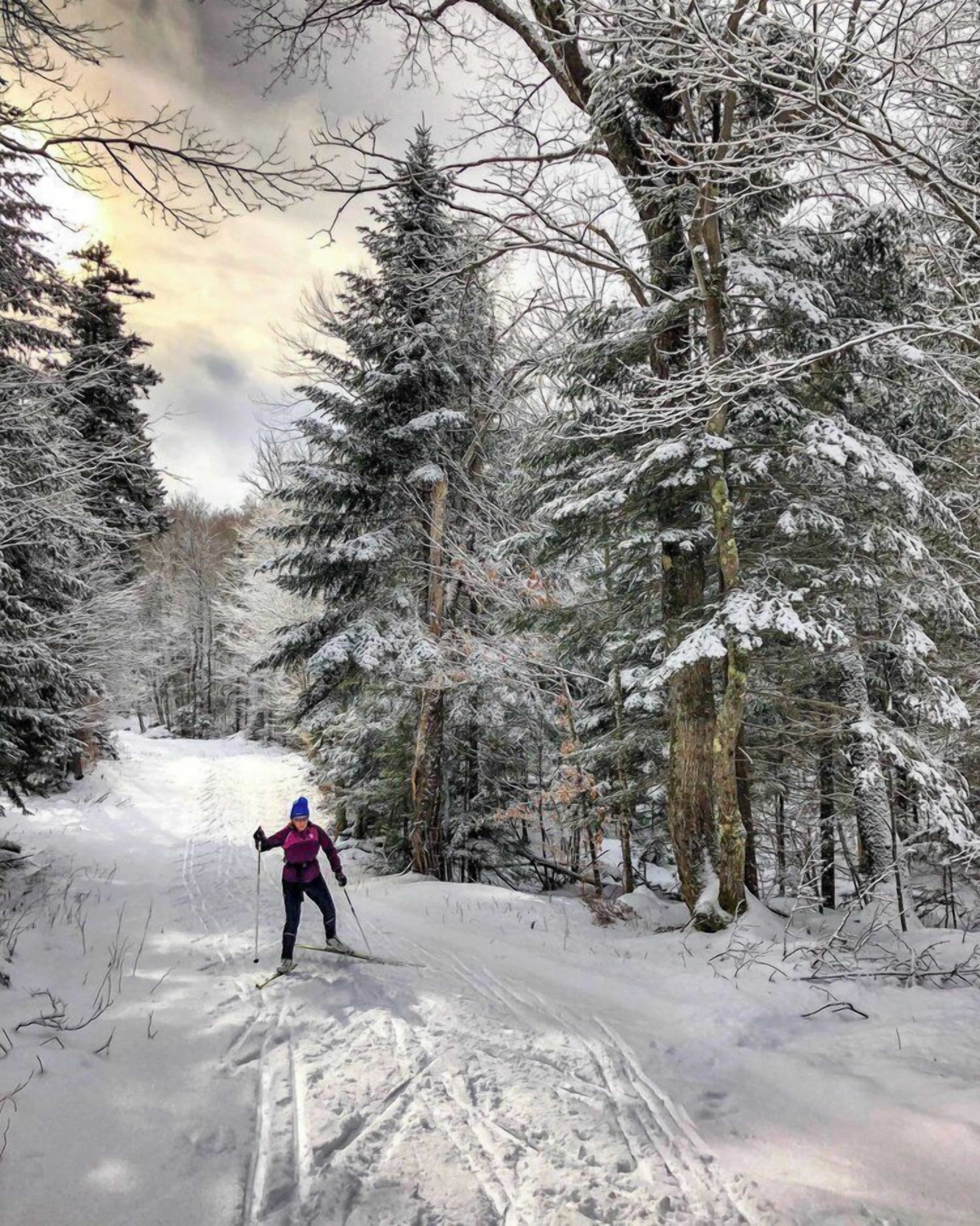 Un sendero nevado en un bosque, con una persona esquiando.