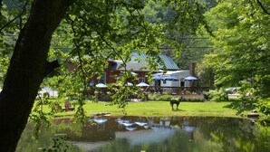 A lakeside view with a building, outdoor seating, and a horse.