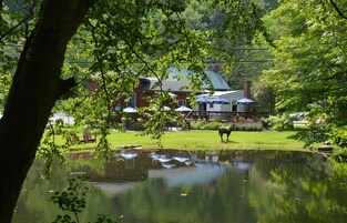 Dinner served, American cuisine