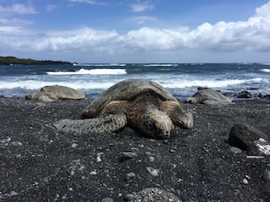 Point of interest - Hawaii Island Resort (Naalehu)