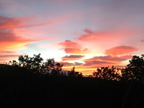 Un atardecer con la silueta de árboles bajo un cielo despejado.