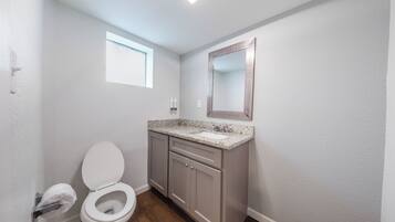 A bathroom with a toilet, sink, and mirror.