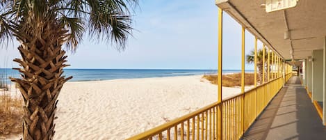 A beachside walkway with a palm tree, a sandy beach, and the ocean in the background.