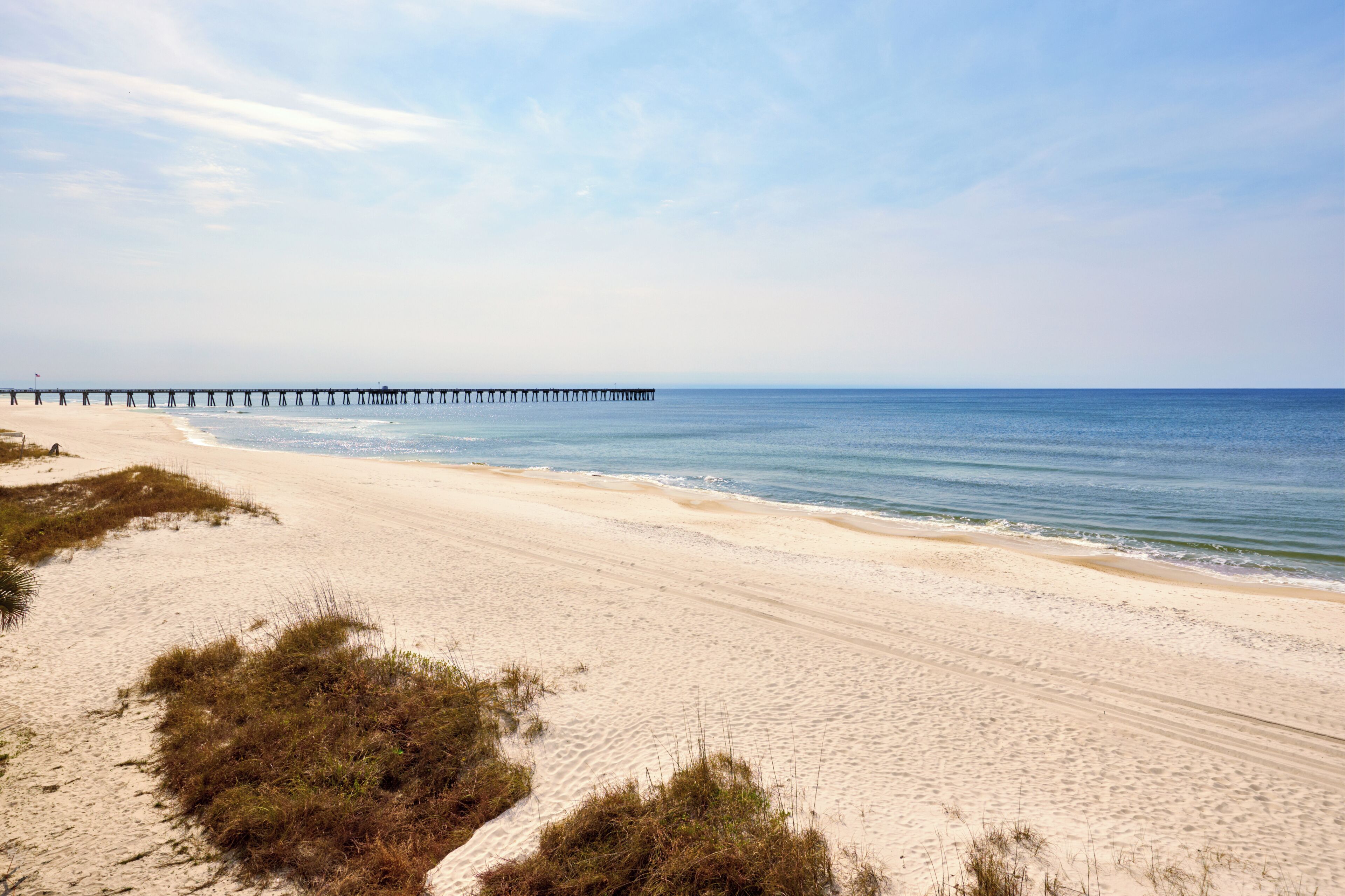 A beach with a pier extending into the water, sandy beach, and sparse vegetation.