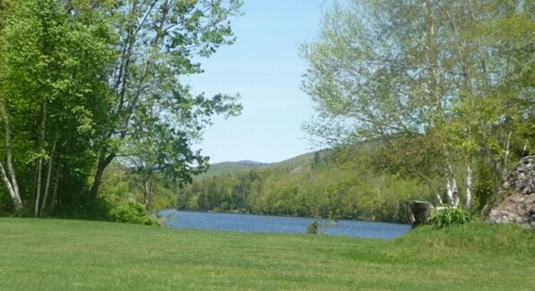 A grassy area with a lake and trees. - Mountain Meadows Lodge (Killington)