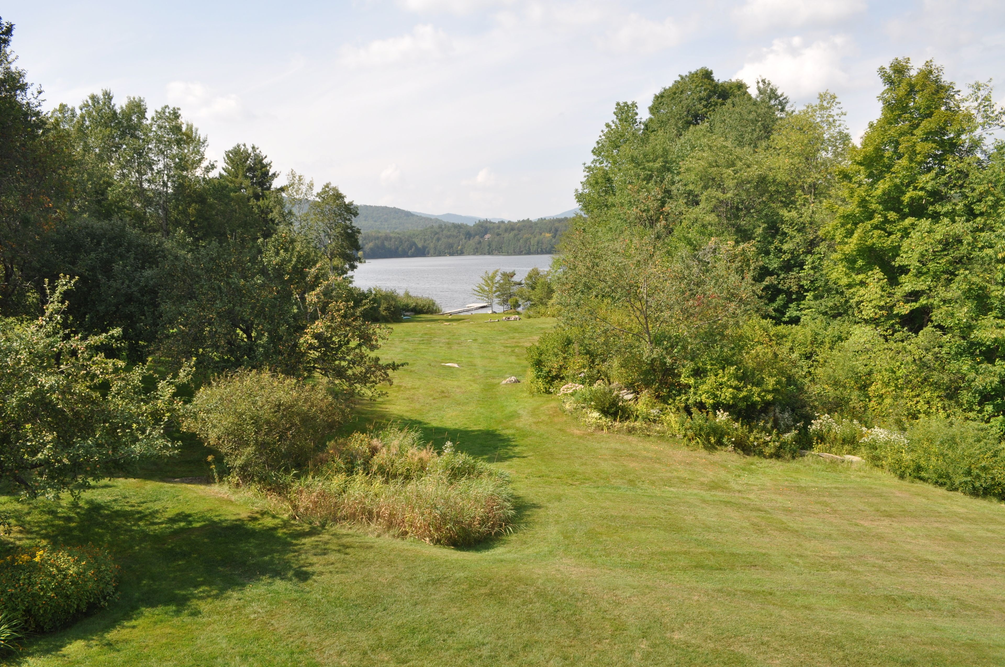 A grassy area with trees and a lake in the background.