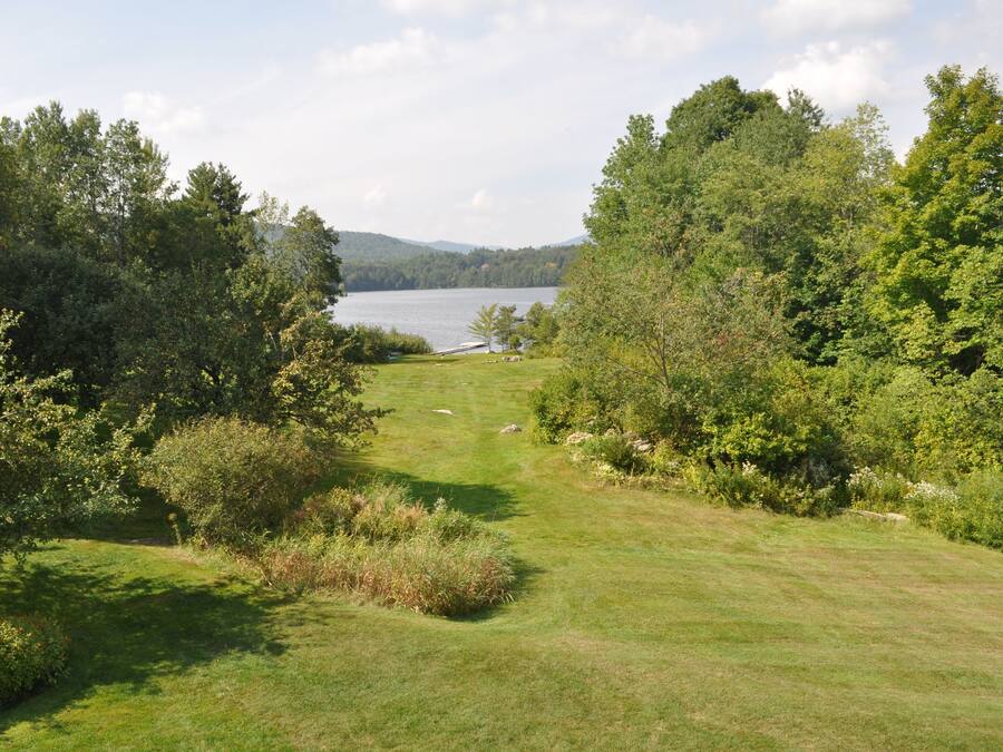 A grassy area with trees and a lake in the background.
