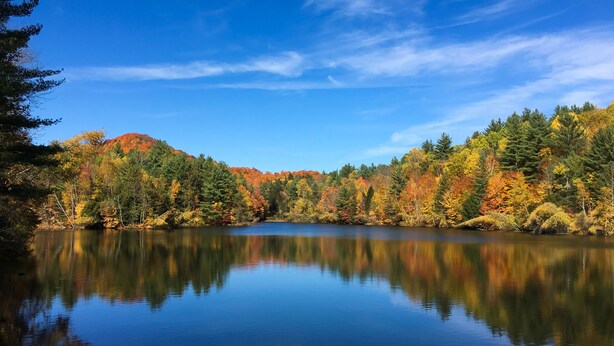 A calm lake surrounded by autumn-colored trees and a clear blue sky.