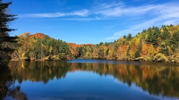 Lake view