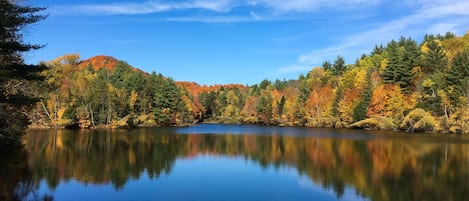 Vue sur le lac