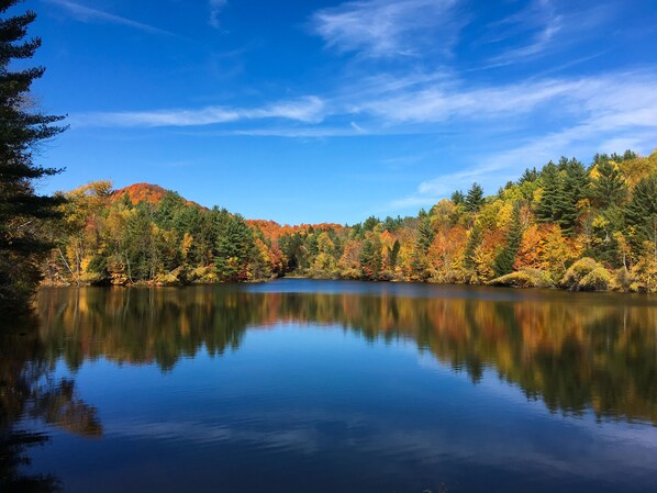 Vista para o lago