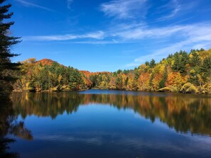 A calm lake surrounded by autumn-colored trees and a clear blue sky. - Mountain Meadows Lodge (Killington)