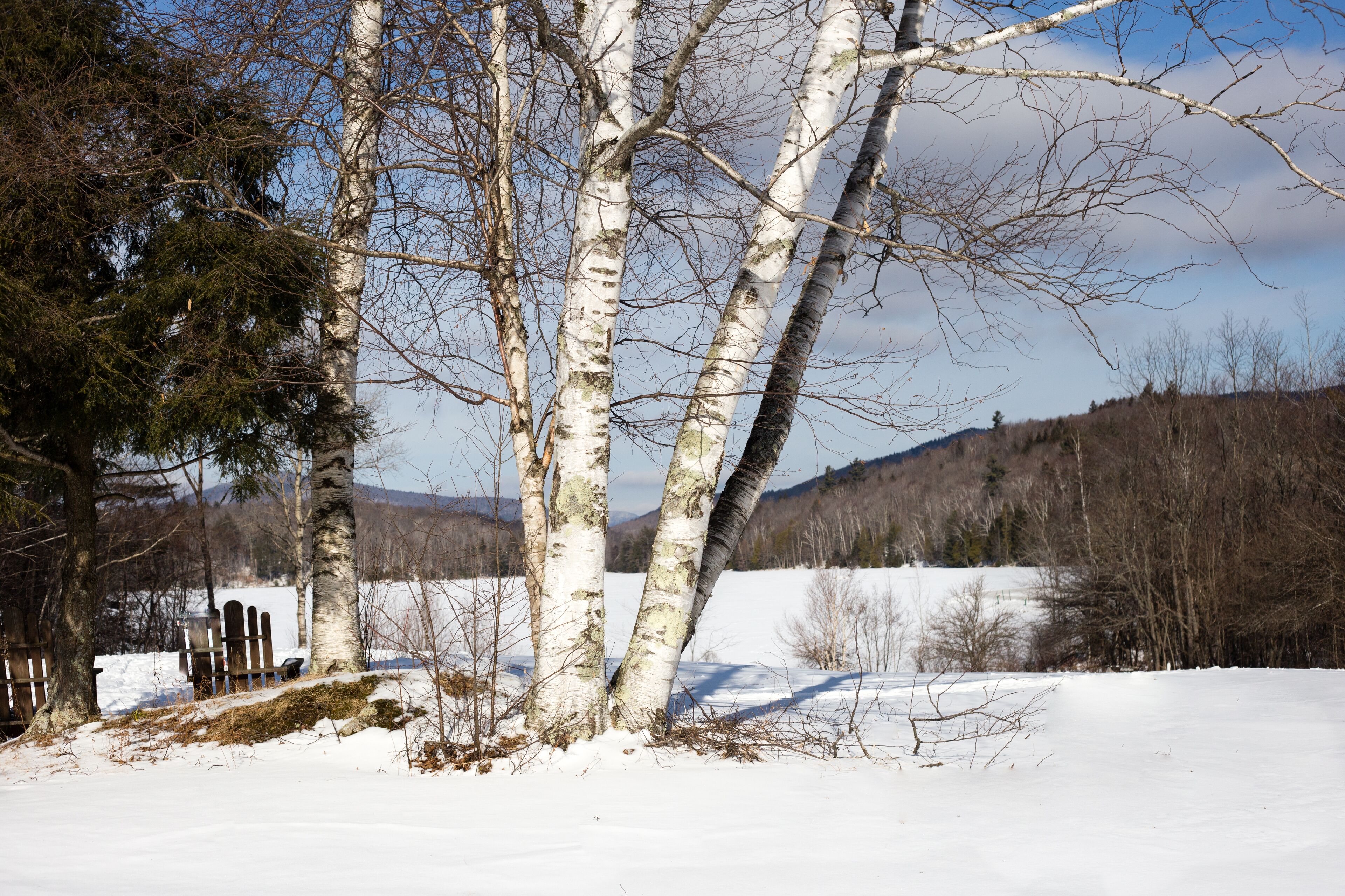 outdoor wedding area