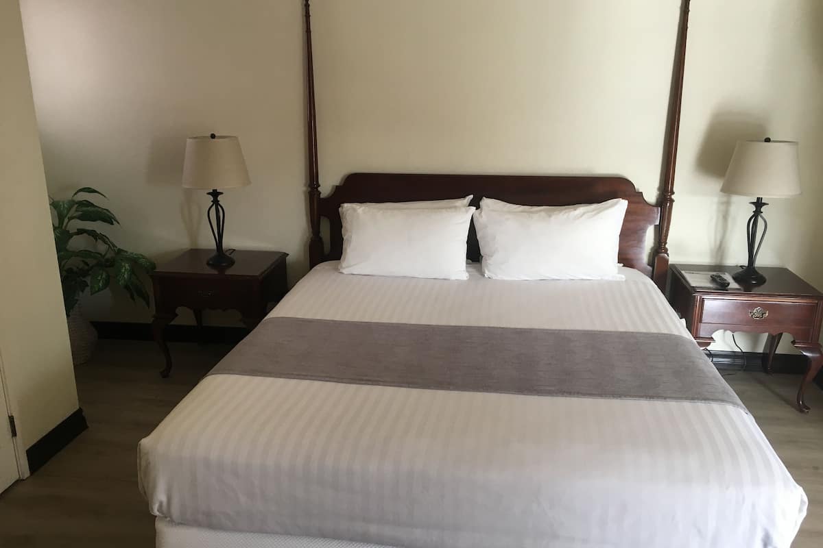 Una cama bien hecha con cabecera de madera, dos mesitas de noche con lámparas y una planta en maceta.