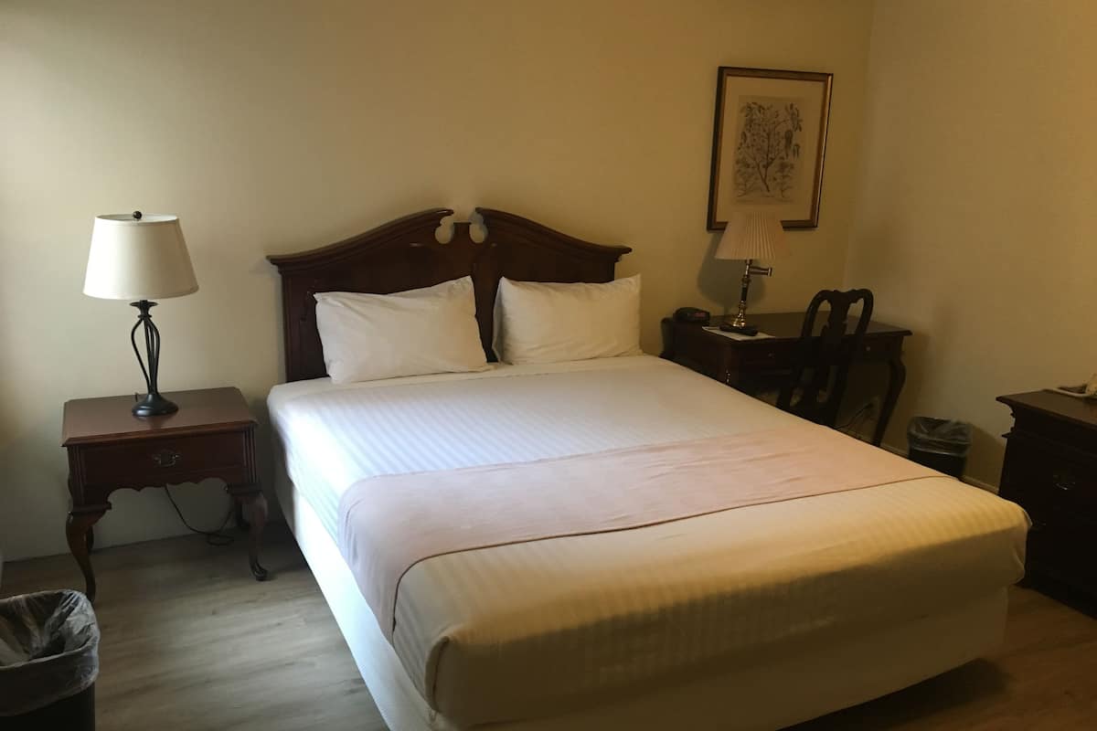 Una cama bien hecha con tablero de madera, una lámpara de noche, un cesto de basura y un cuadro enmarcado en la pared.