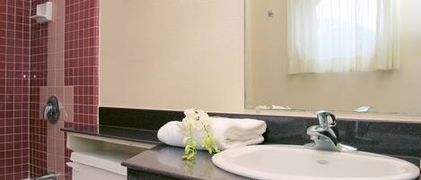 Une salle de bain avec un lavabo blanc, un miroir et un espace douche aux carreaux rouges.