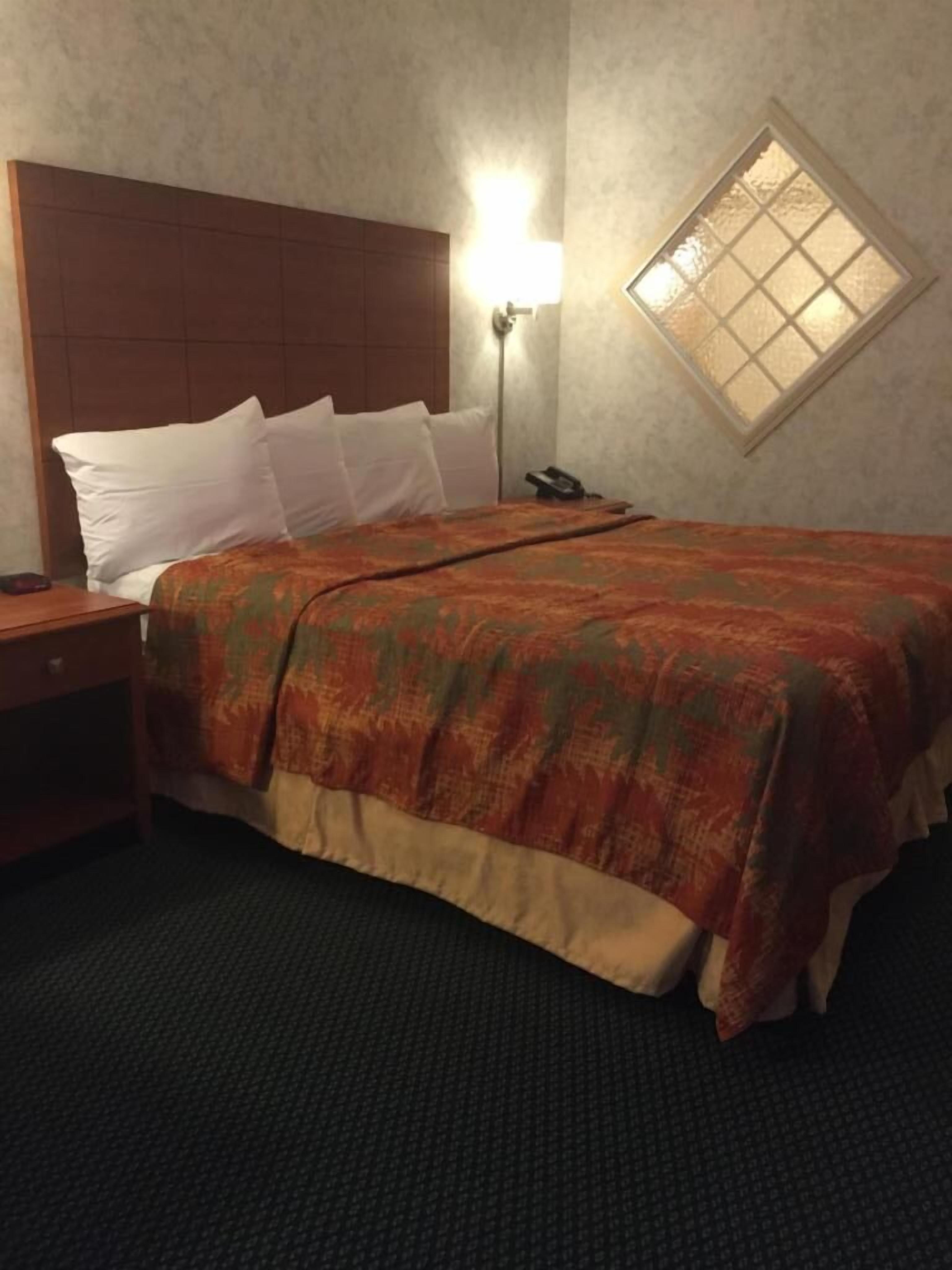 A hotel room with a wooden headboard, a bed with white pillows, a patterned bedspread, a bedside table with a lamp, and a window with a view.