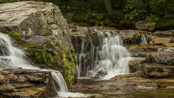 Una cascada fluye sobre terreno rocoso rodeado de abundante follaje verde.