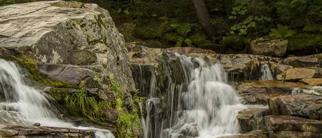 A waterfall cascading over rocky terrain surrounded by dense green foliage.
