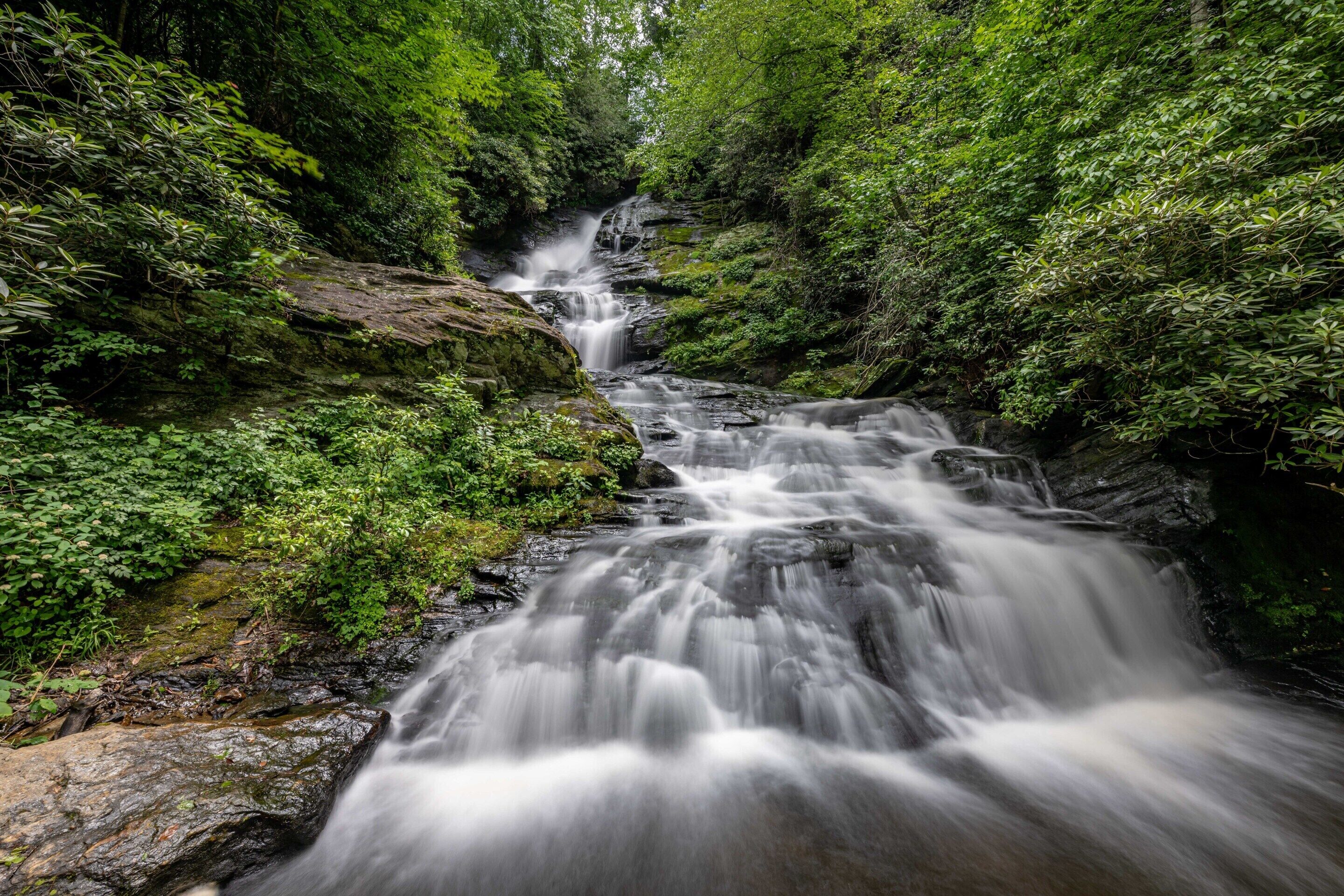 A waterfall surrounded by dense green foliage.